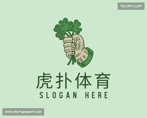 认识虎扑领先平台